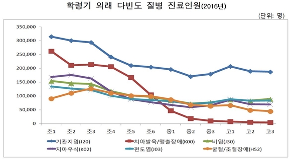 건강보험심사평가원 제공