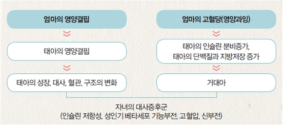 제일병원 제공