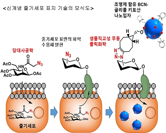 미래창조과학부 제공