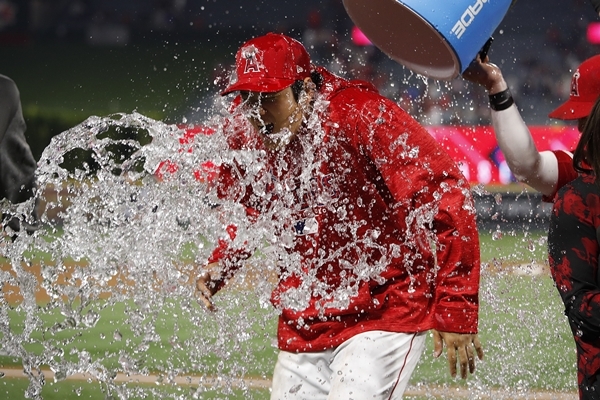 오타니 쇼헤이가 팀 동료 콜 칼훈에게 얼음물 사례를 받고 있다. 사진=AP 연합뉴스