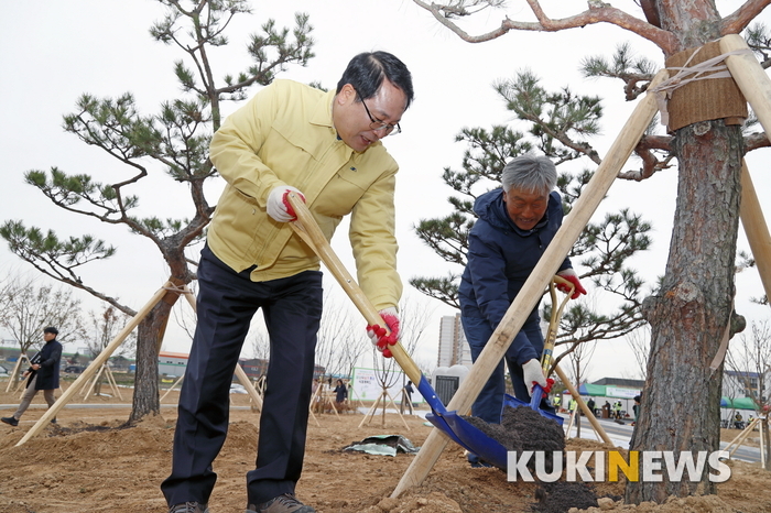 정헌율 시장이 시민과 함께 소나무를 심고 있다.